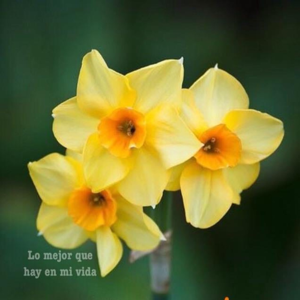 Meet your Posher, Esther